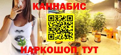 стаф Нальчик