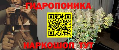 стаф Нальчик