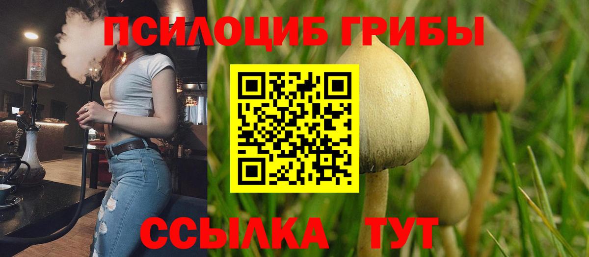 Псилоцибиновые грибы мухоморы Ульяновск