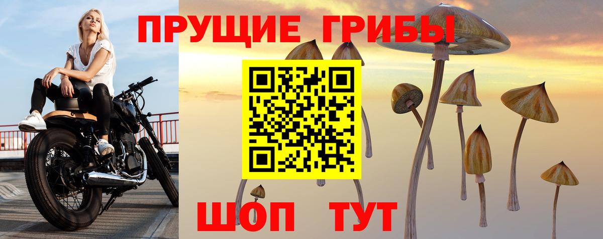 Псилоцибиновые грибы Psilocybe  Вход с VPN  Ульяновск  Псилоцибиновые грибы мицелий 